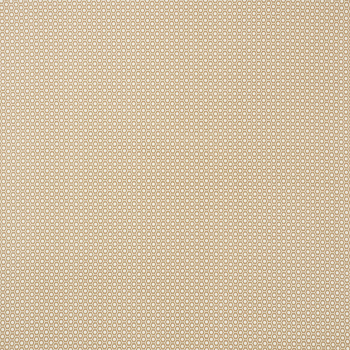 Schumacher Queen B II Indoor/Outdoor Sand Fabric Sample 176561