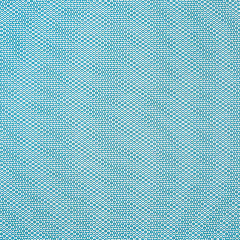 Schumacher Queen B II Indoor/Outdoor Aqua Fabric 176563