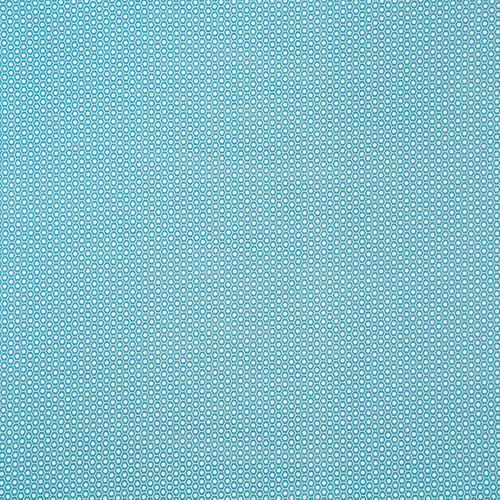 Schumacher Queen B II Indoor/Outdoor Aqua Fabric Sample 176563