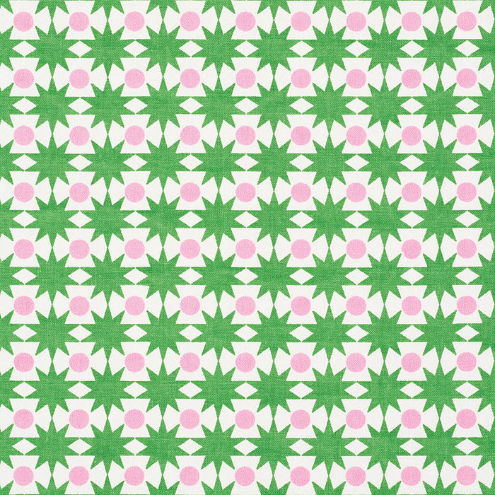 Schumacher Cosmos Watermelon Fabric Sample 177061