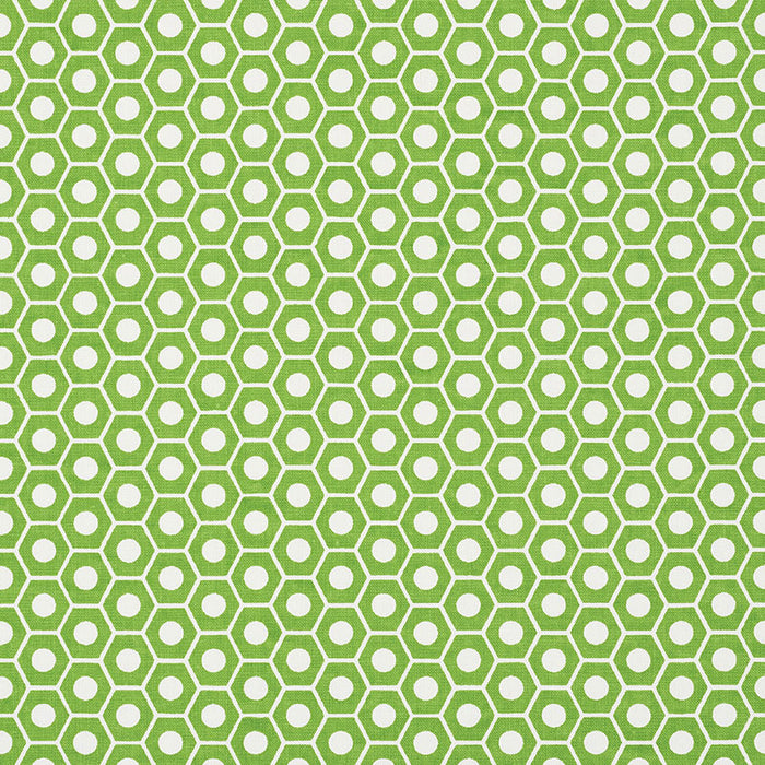 Schumacher Queen B Green Fabric Sample 177075