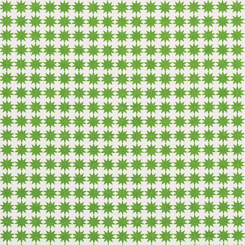 Schumacher Stella Green Fabric Sample 177082