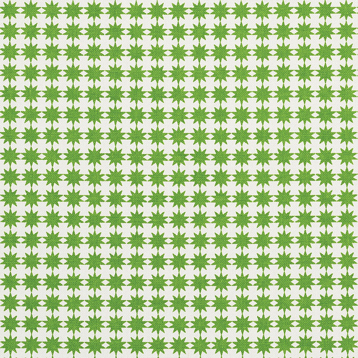 Schumacher Stella Green Fabric Sample 177082