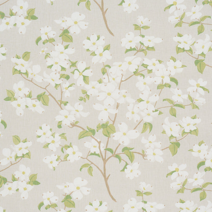 Schumacher Blooming Branch Dove Fabric 177414