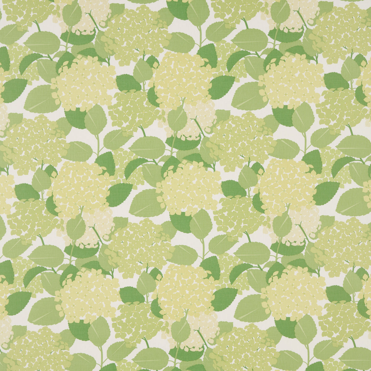 Schumacher Hydrangea Green Fabric 177584