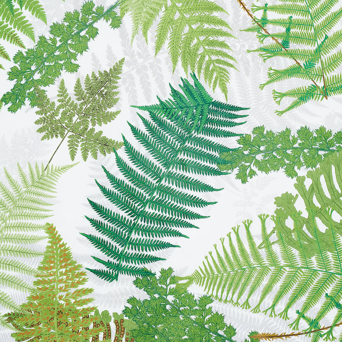 Schumacher Fernarium Green & Ivory Fabric Sample 177590