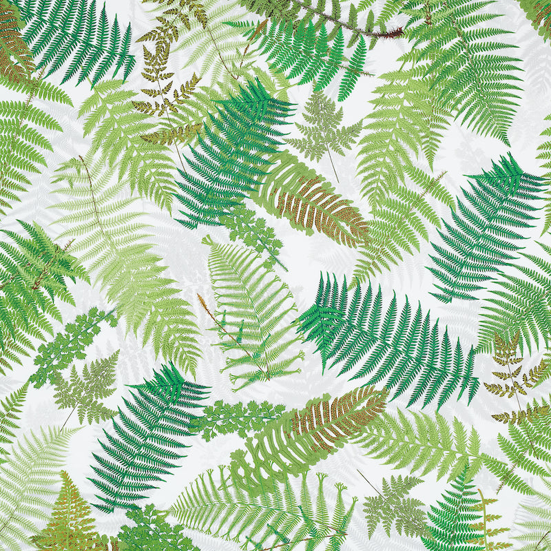 Schumacher Fernarium Green & Ivory Fabric Sample 177590