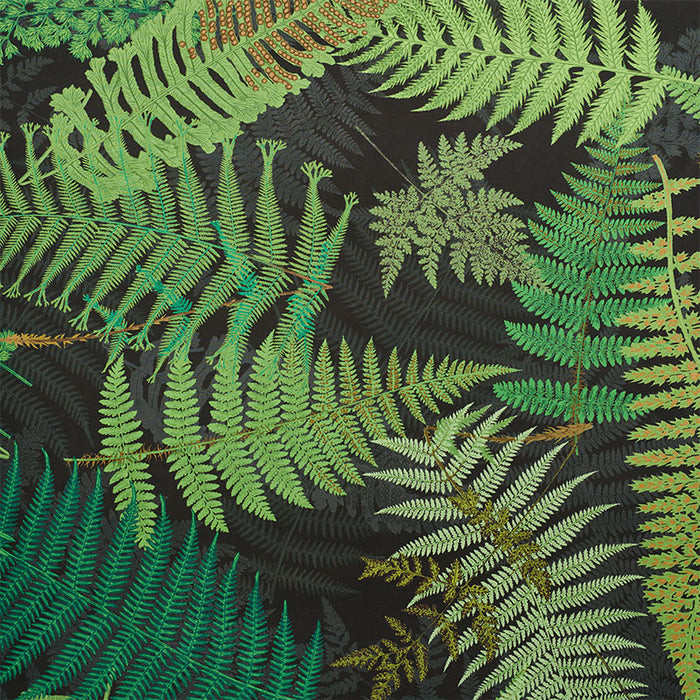 Schumacher Fernarium Green & Black Fabric 177591