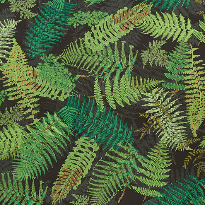 Schumacher Fernarium Green & Black Fabric Sample 177591