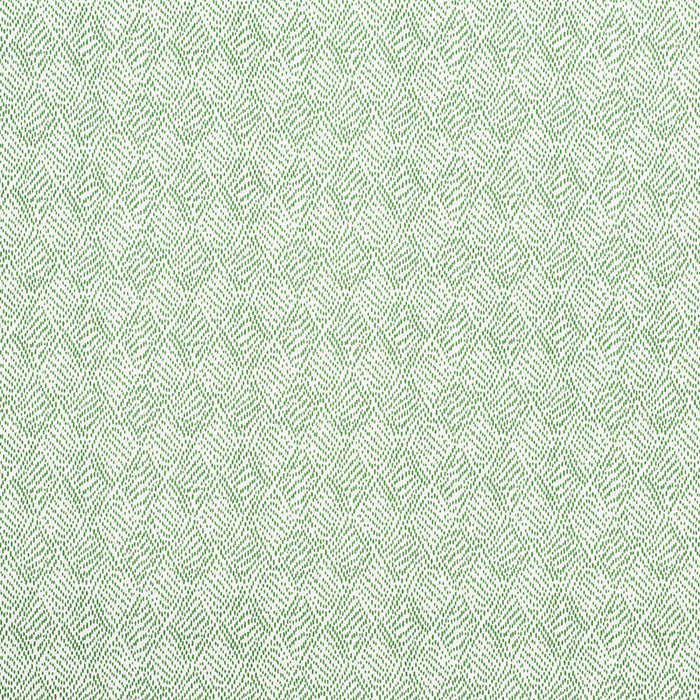 Schumacher Duma Diamond Green Fabric Sample 177762