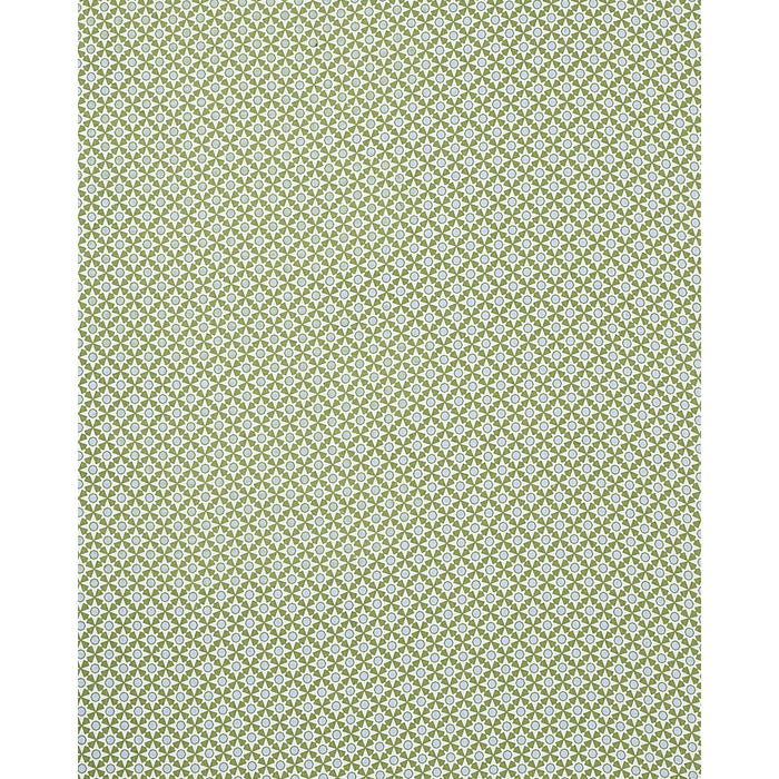 Schumacher Serendipity Green Fabric Sample 177961