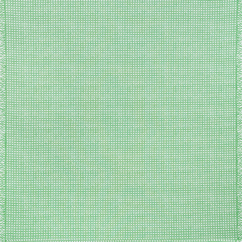 Schumacher Sugar Cane Green Fabric 178191