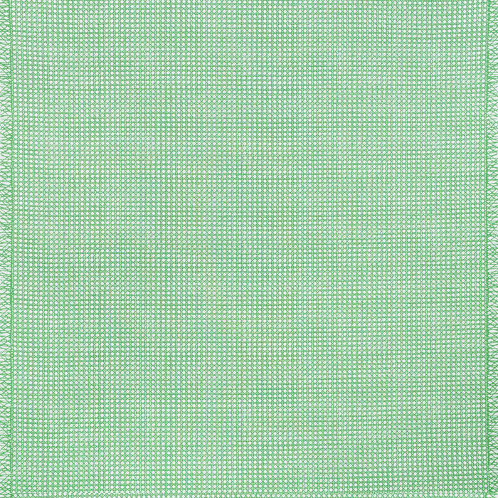 Schumacher Sugar Cane Green Fabric Sample 178191