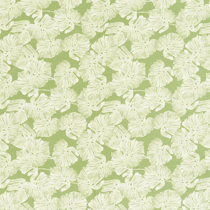 Schumacher Del Coco Sheer Leaf Fabric Sample 178342