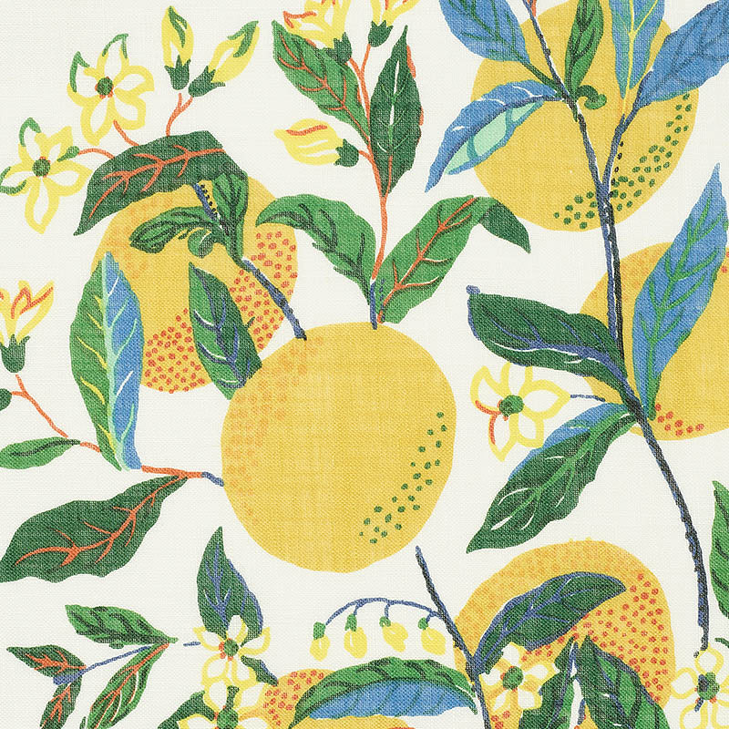 Schumacher Citrus Garden Sheer Primary Fabric Sample 178350