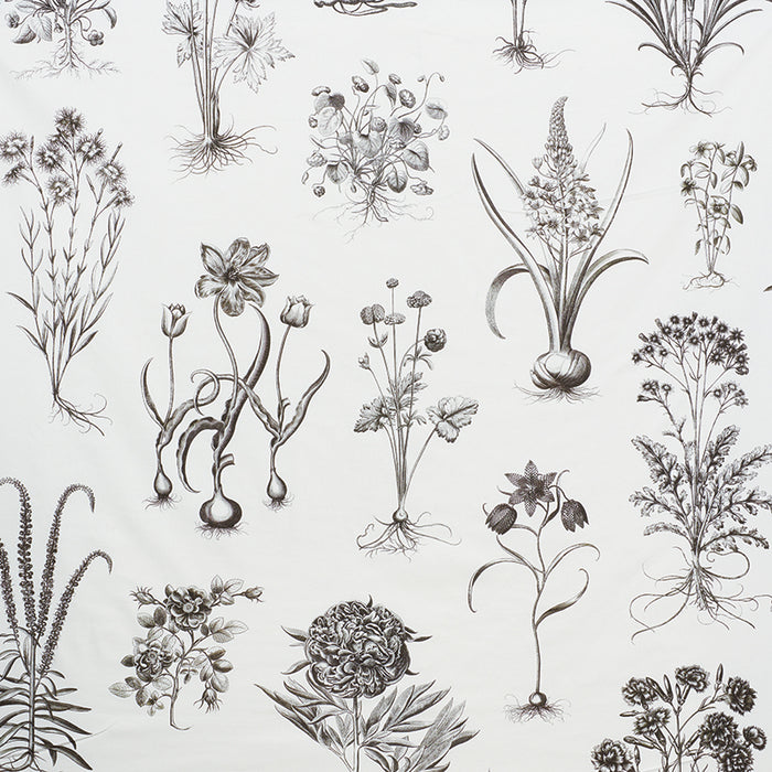 Schumacher Cabot Botanical Large Ivory Fabric Sample 178740