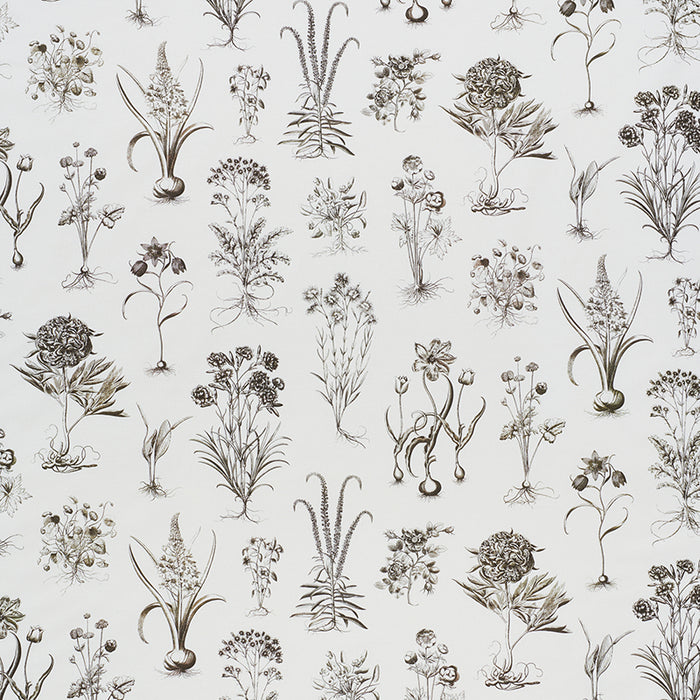 Schumacher Cabot Botanical Ivory Fabric Sample 178751