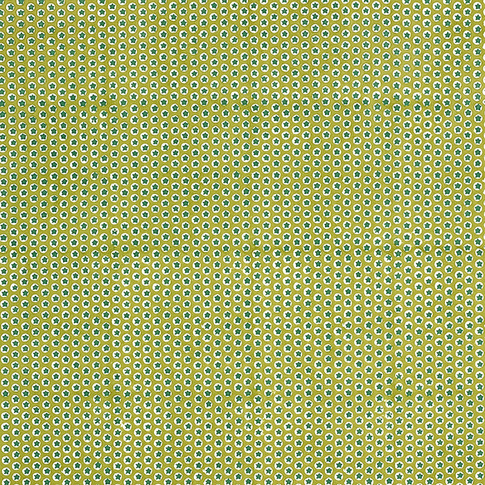 Schumacher Tuk Tuk Hand Block Print Green Fabric Sample 179223