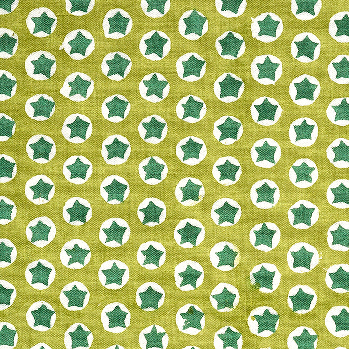 Schumacher Tuk Tuk Hand Block Print Green Fabric 179223