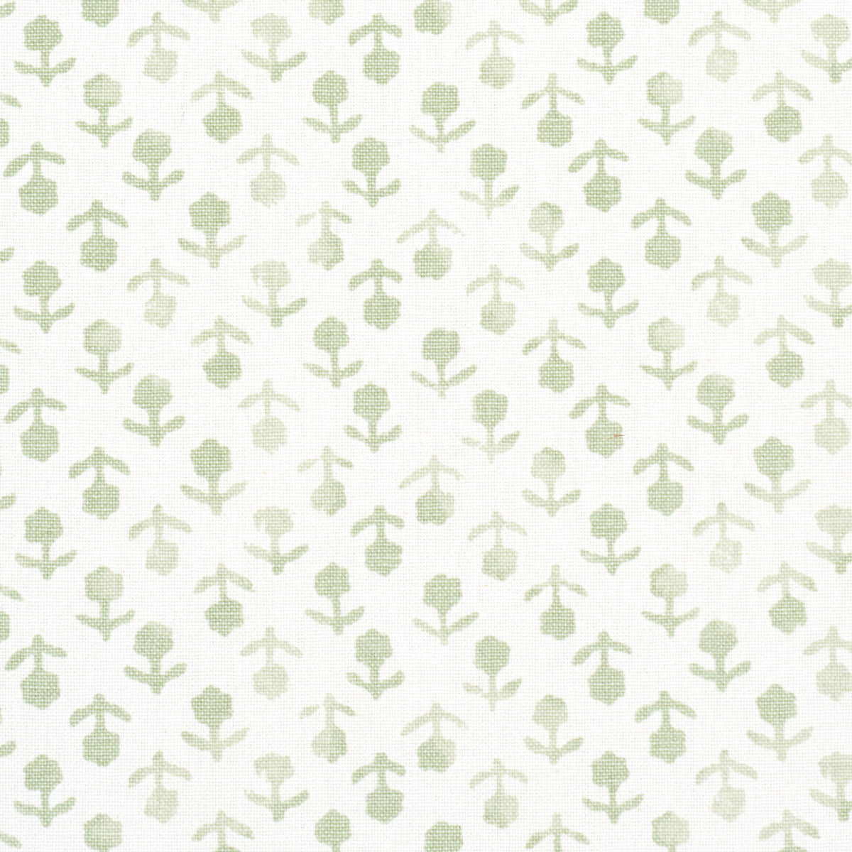 Schumacher Beatriz Handprint Sage Fabric 179354