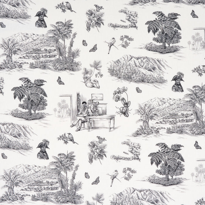 Schumacher Toussaint Toile Black Fabric 180270