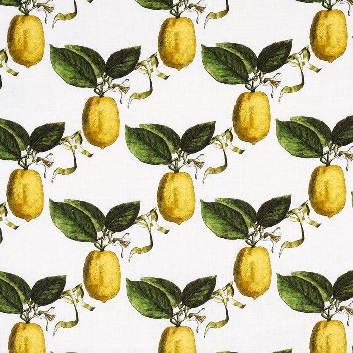 Schumacher Le Citron Ivory Fabric 180630