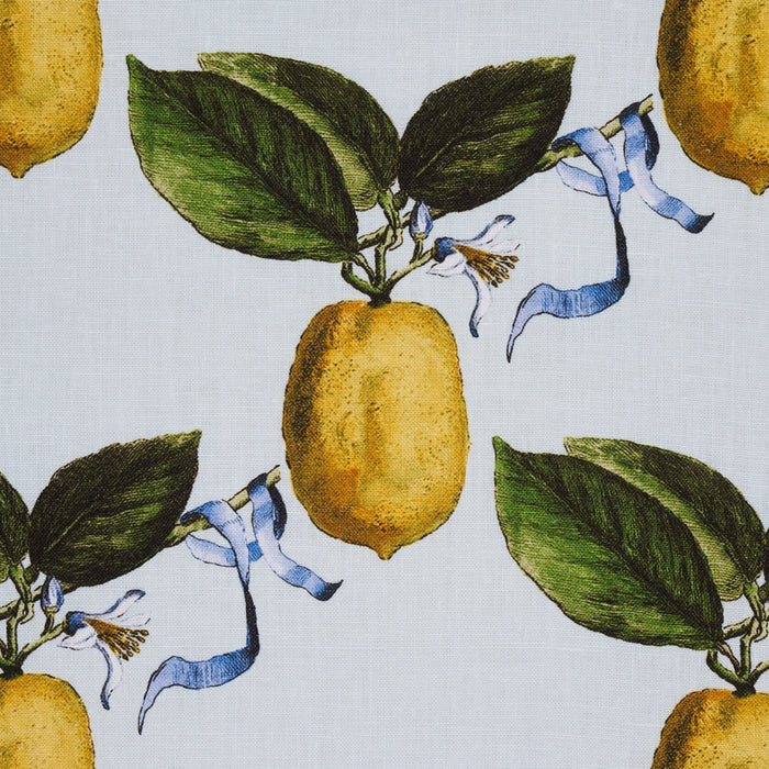 Schumacher Le Citron Sky Fabric 180631