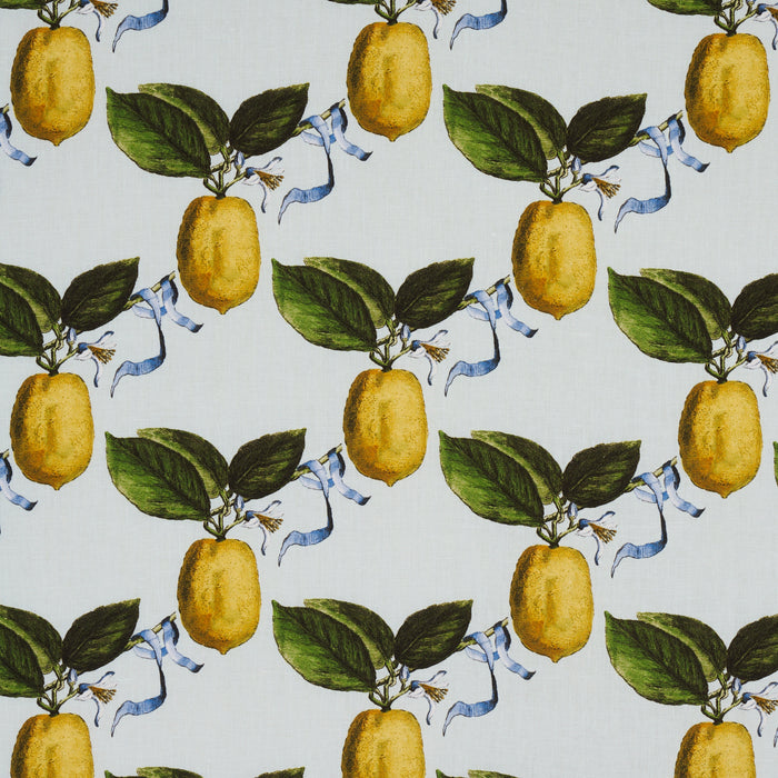 Schumacher Le Citron Sky Fabric 180631