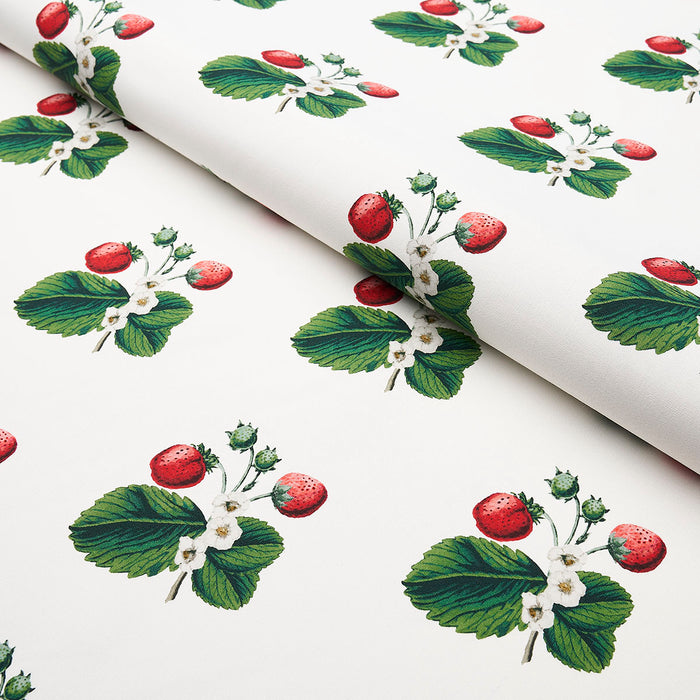 Schumacher Strawberry Hill White Fabric 180640