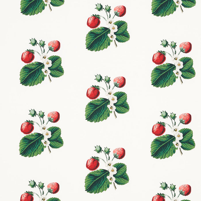 Schumacher Strawberry Hill White Fabric 180640