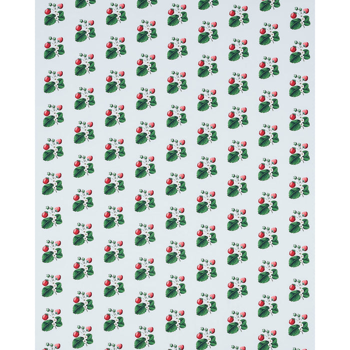 Schumacher Strawberry Hill Sky Fabric 180641