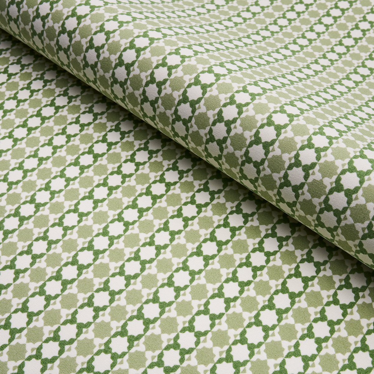 Schumacher Posy Indoor/Outdoor Leaf Green Fabric 180751