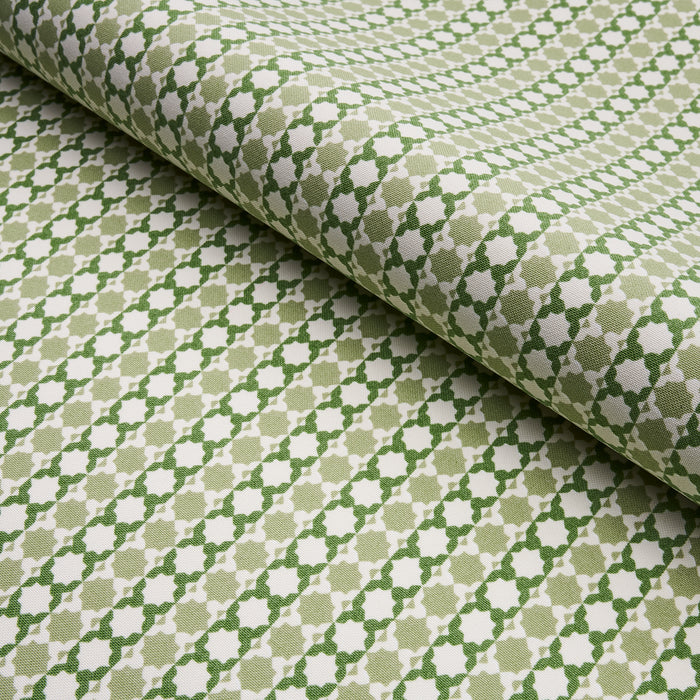 Schumacher Posy Indoor/Outdoor Leaf Green Fabric Sample 180751