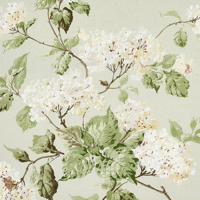 Schumacher Summer Hydrangea Celadon Fabric 180820