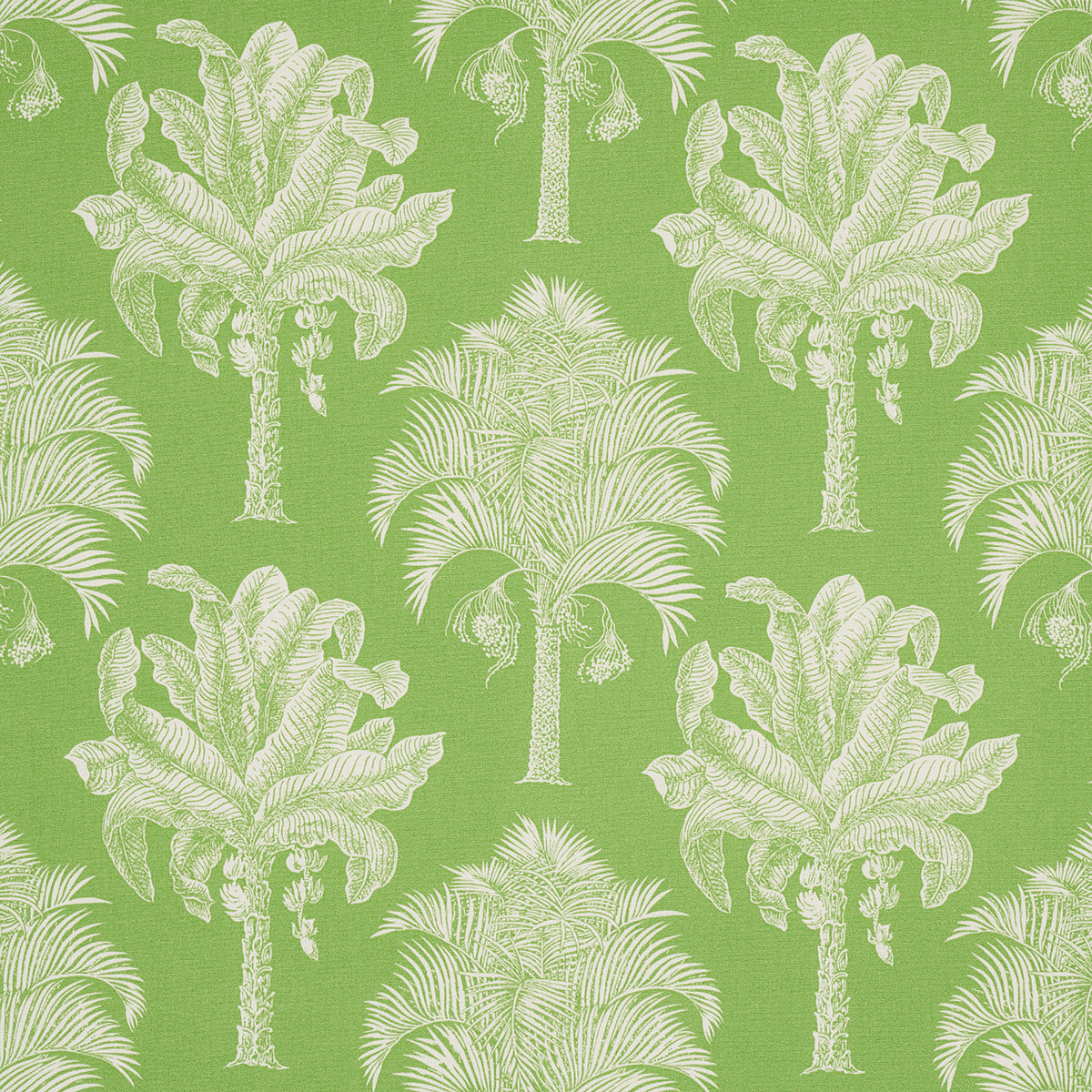 Schumacher Grand Palms Indoor/Outdoor Green Fabric 180960