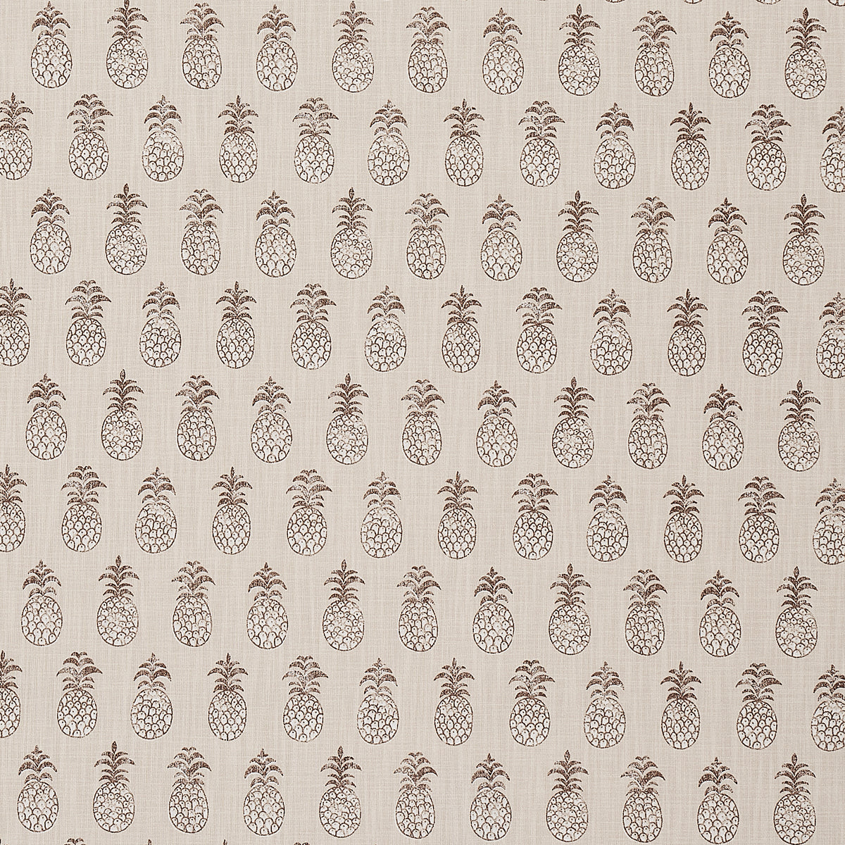 Schumacher Pina Cove Indoor/Outdoor Coconut Fabric 181022