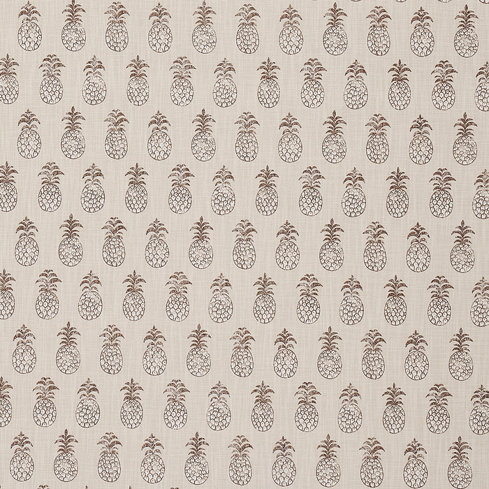 Schumacher Piña Cove Indoor/Outdoor Coconut Fabric Sample 181022