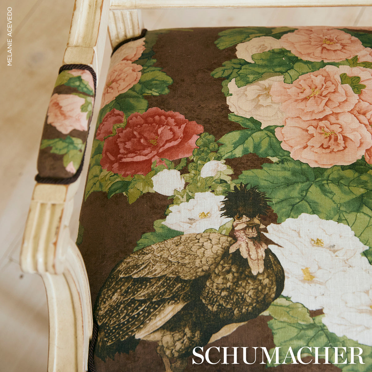 Schumacher Lady Hollyhock Brown Fabric 181041