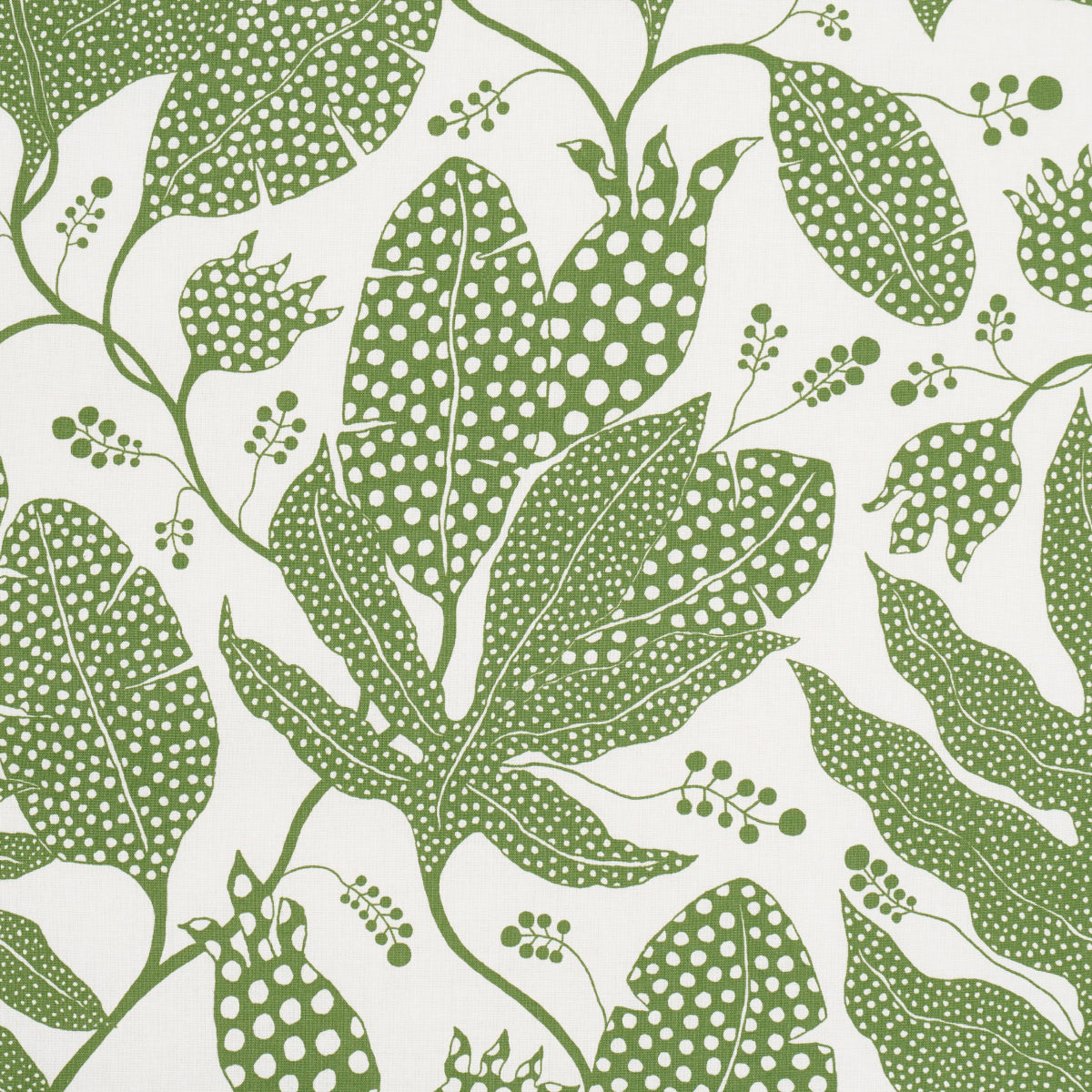 Schumacher Polka Dot Jungle Green & Ivory Fabric 181652