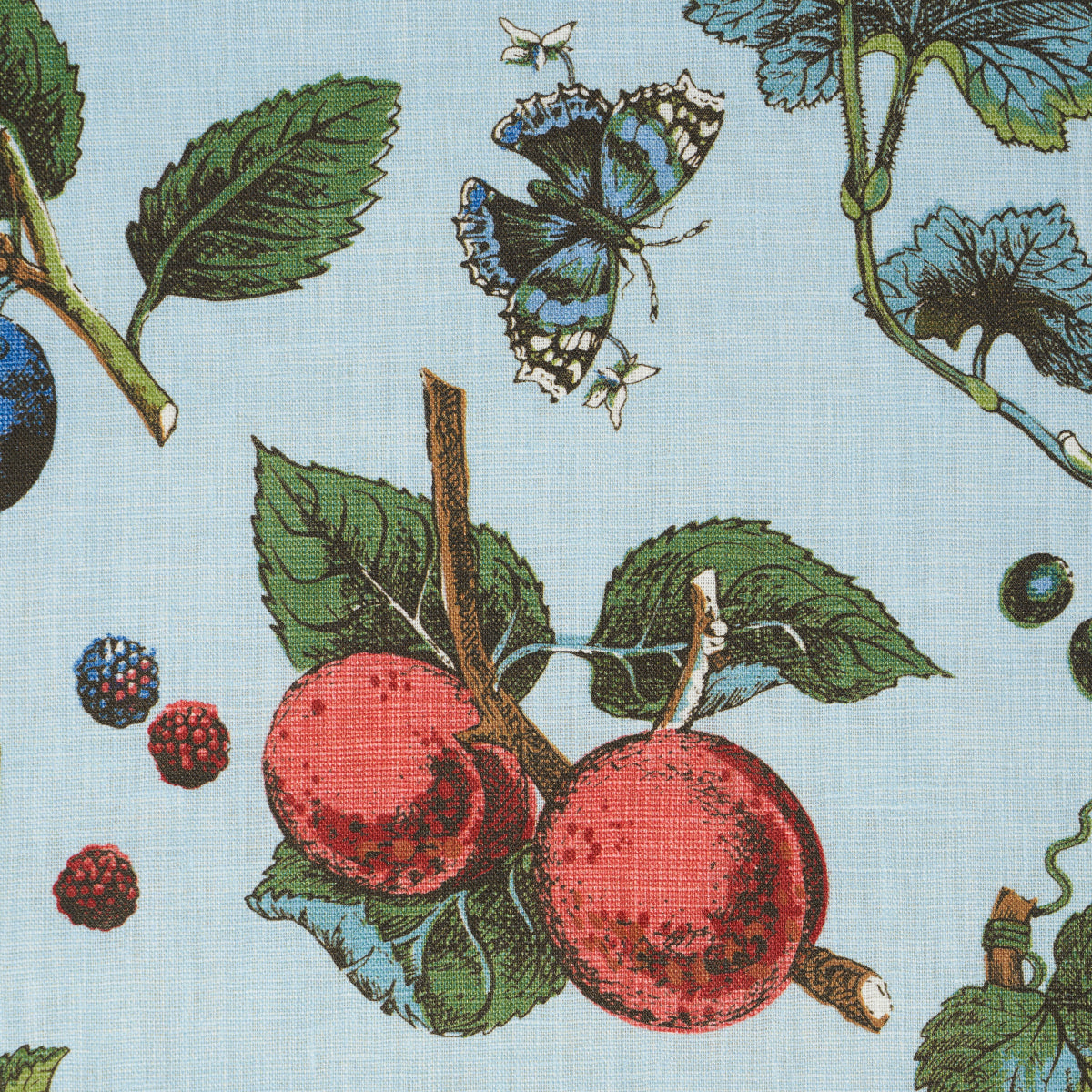 Schumacher Berry Grove Sky Fabric Sample 181891