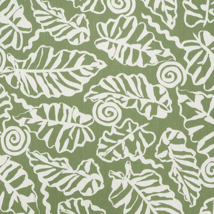 Schumacher Del Mar Indoor/Outdoor Verde Fabric 181990