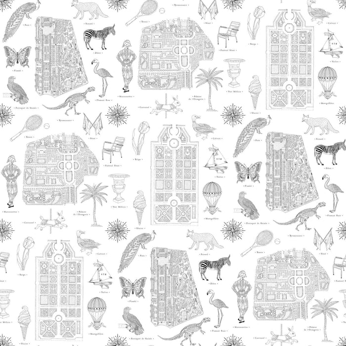 Pierre Frey Jardins Parisiens Noir Wallpaper FP485002