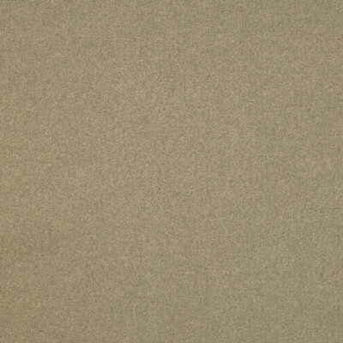 Lee Jofa Flannelsuede Quartz Fabric Sample 2006229.116.0