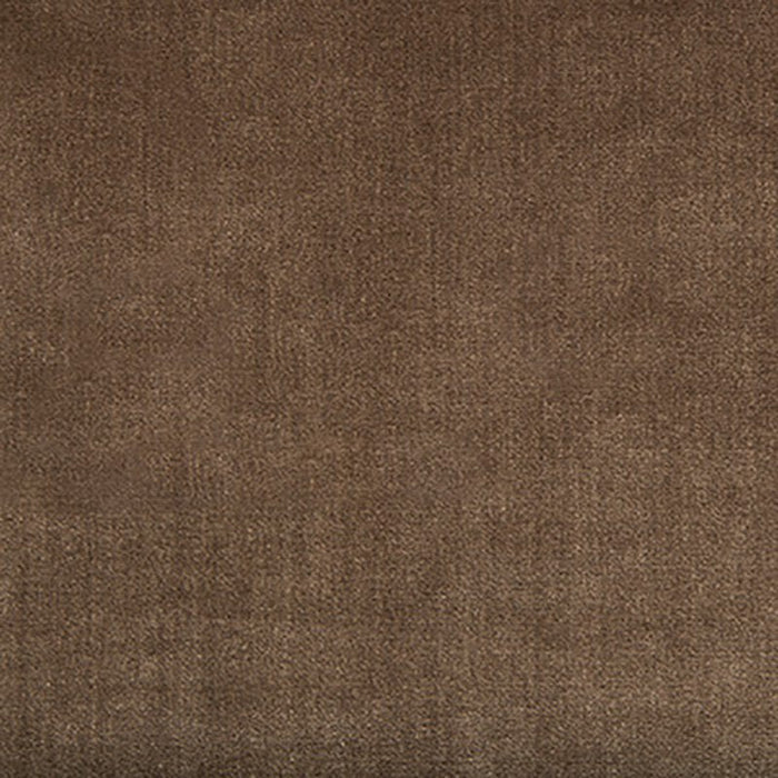 Kravet Couture Duchess Velvet Mink Fabric Sample 34641.6.0