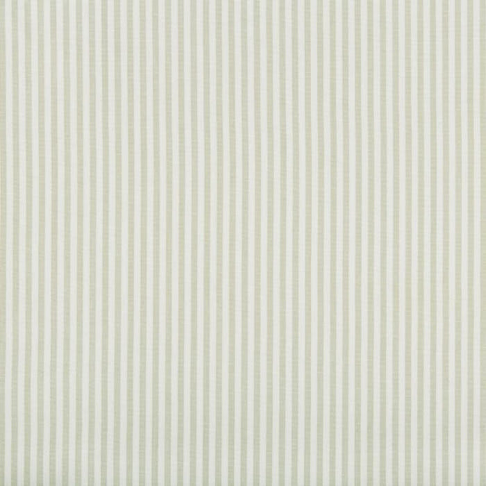 Lee Jofa Cap Ferrat Stripe Leaf Fabric Sample 2018146.123.0