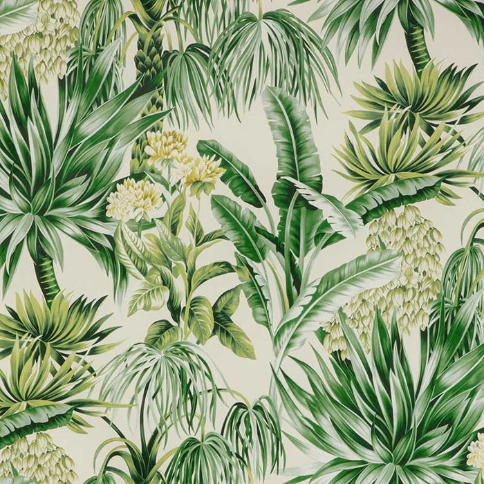 Lee Jofa Caluya Print Palm Fabric Sample 2020196.3034.0