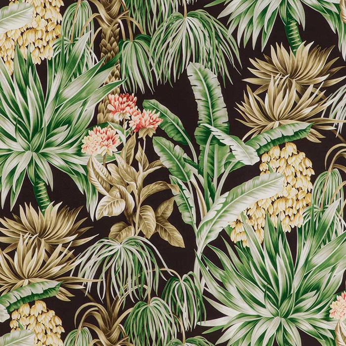 Lee Jofa Caluya Print Espresso Fabric Sample 2020196.6374.0