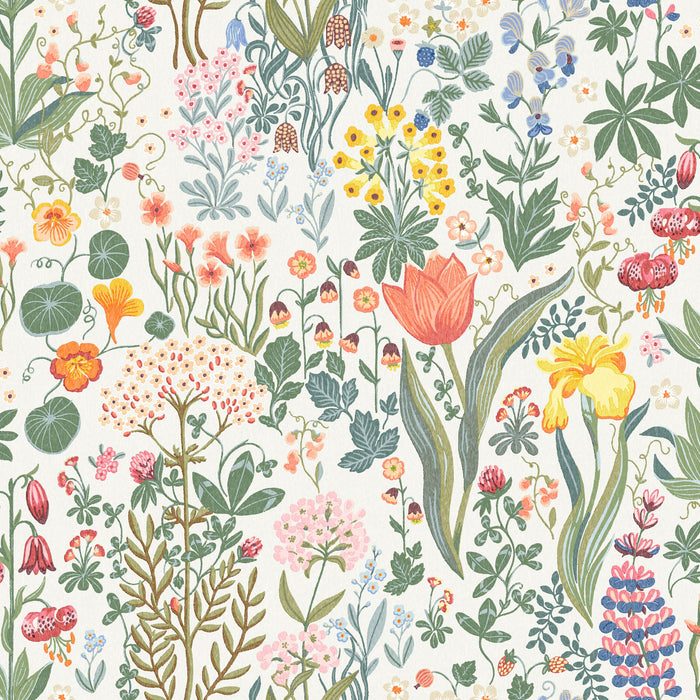 Schumacher Blomsterhav Multi Wallpaper 2053