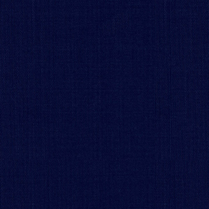 Schumacher Sargent Silk Taffeta Midnight Fabric Sample 22644