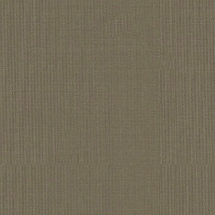 Schumacher Sargent Silk Taffeta Pebble Fabric 22676